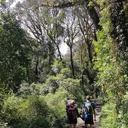 Mount Kilimanjaro Climbing Via Lemosho Route 8 Days