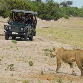 tourhub | On The Go Tours | Etosha, Okavango & Chobe - 14 days 