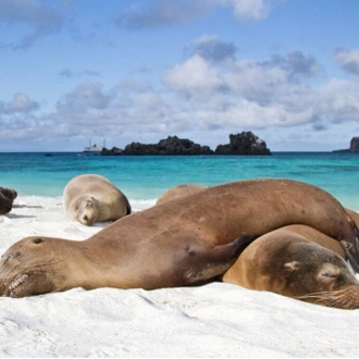 tourhub | Ecuador Galapagos Travels | 7 Days Galapagos Expedition: San Cristobal & Santa Cruz Island 