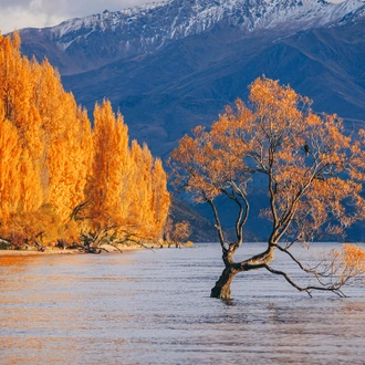 tourhub | Intrepid Travel | Active New Zealand: Wanaka 