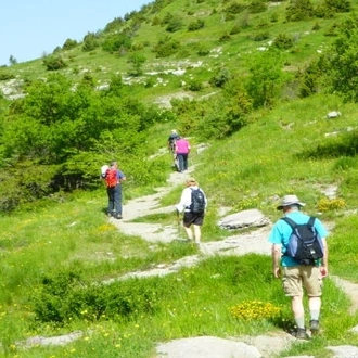 tourhub | Travel Editions | Walking in Epirus Tour 