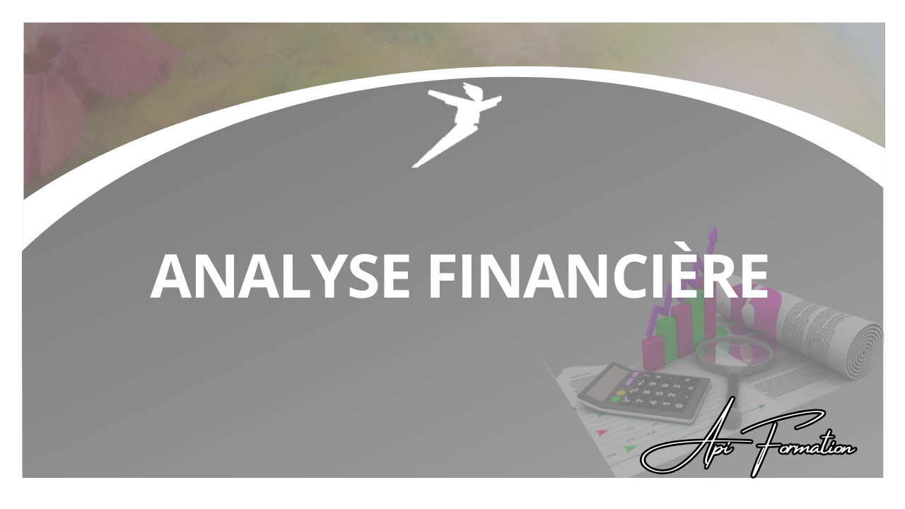 Représentation de la formation : ANALYSE FINANCIÈRE