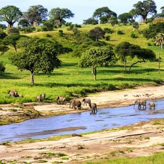 tourhub | Bantu Pori Journeys  | 5 Days Tanzania Safari 