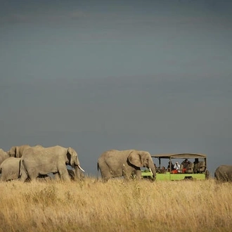 tourhub | Alaitol Safari | Tanzania Active Family Adventure 