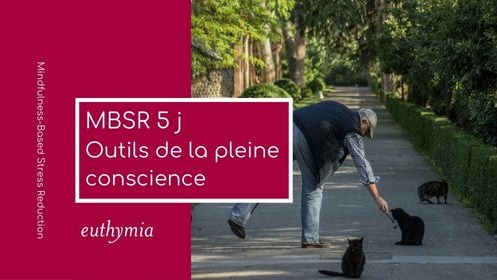 Représentation de la formation : Outils de la pleine conscience (programme MBSR sur 5 jours)