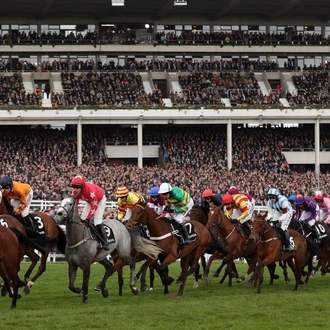 tourhub | Just Go Holidays | The Cheltenham Gold Cup Experience 