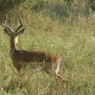 tourhub | Widerange African Safaris | Tanzania combo packages ( Tanzania safari & Zanzibar tours) 3 days safari & 4 days Zanzibar beach holiday tours 