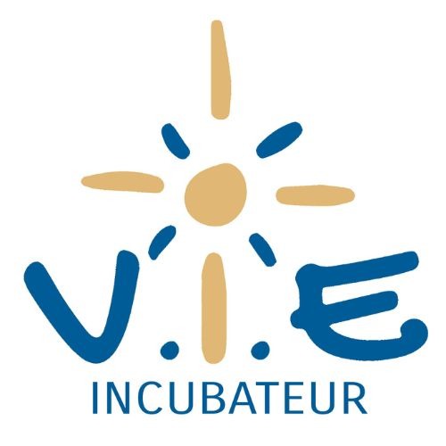 Incubateur VIE logo