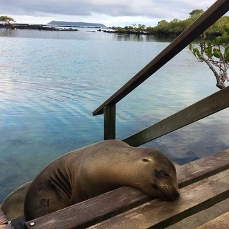 tourhub | Rebecca Adventure Travel | 5-Day Galapagos Multisport: Biking, Hiking, and Snorkeling 