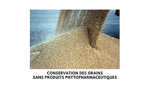 Représentation de la formation : MÉTIERS CONSERVATION DES GRAINS SANS PRODUITS PHYTOPHARMACEUTIQUES