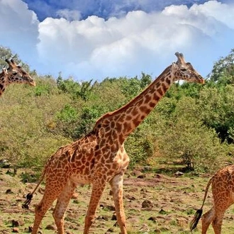 tourhub | On The Go Tours | Zambia to Nairobi (Accommodated) - 21 days 