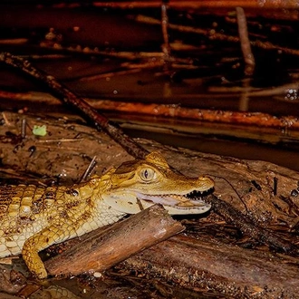 tourhub | Bamba Travel | Puerto Maldonado Amazon Field Station 3D/2N (from Puerto Maldonado) 