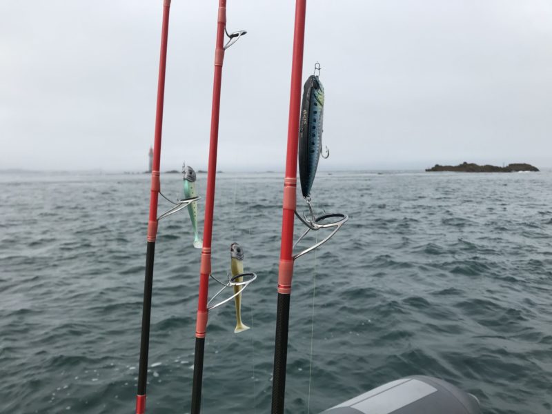 Pêche en bateau - Petite sortie