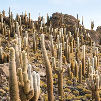 tourhub | Intrepid Travel | Best of Bolivia & Argentina 