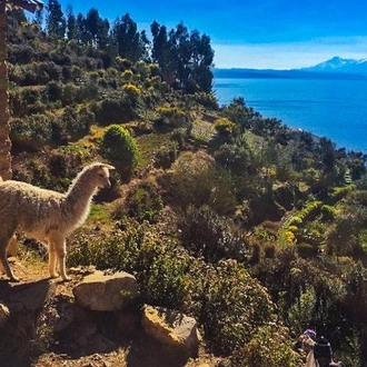 tourhub | Bamba Travel | Lake Titicaca Catamaran 2D/1N (Puno to La Paz) 