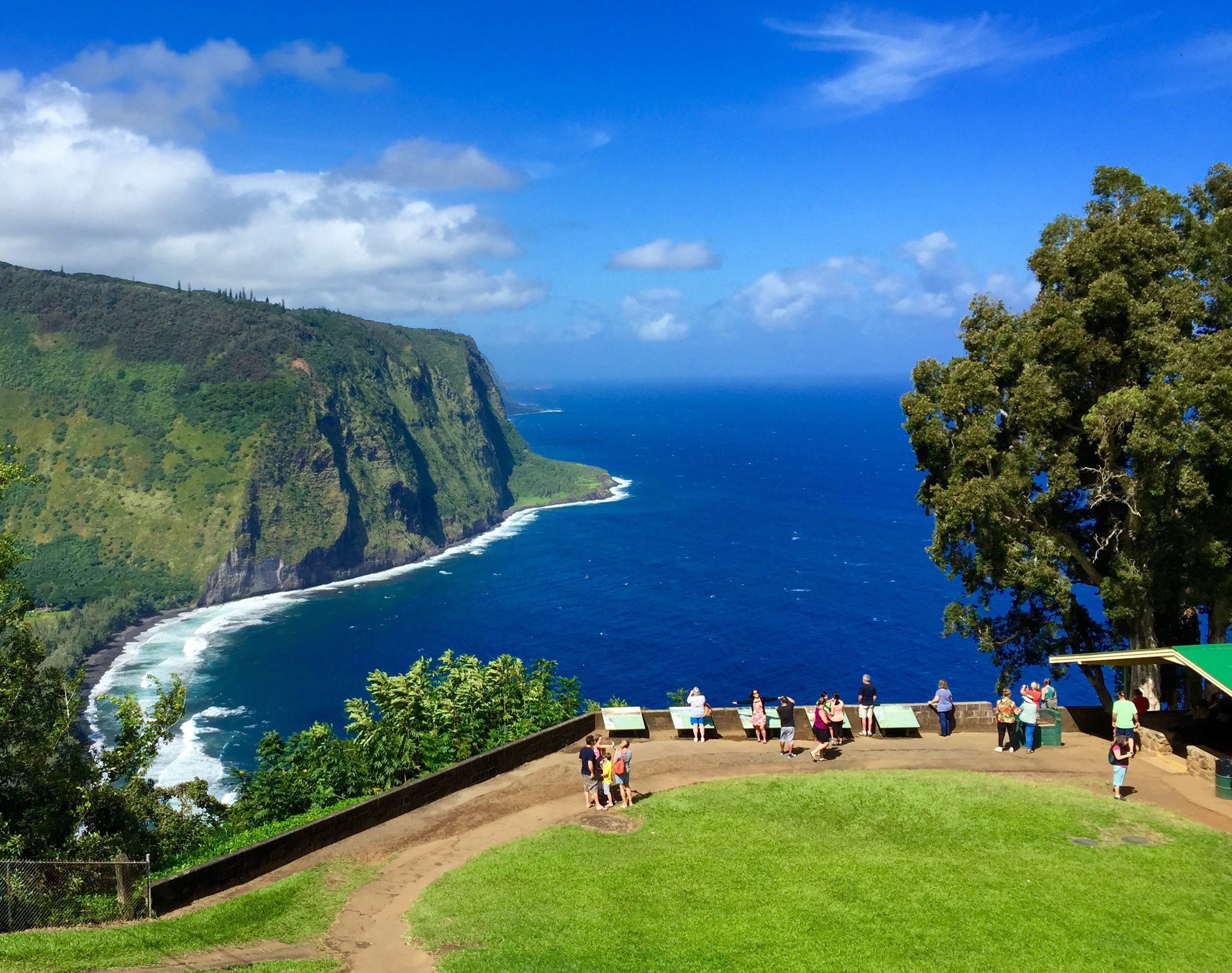 Big Island Waterfalls Adventure Day Tour from Kona