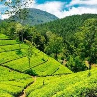 tourhub | Ceylon Travel Dream | 05 Day Tour From Kandy Sri Lanka ( Without Accommodation)  