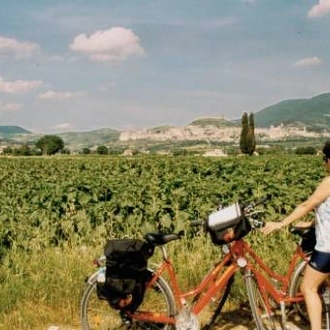 tourhub | UTracks | Florence to Rome by Bike 