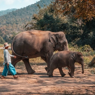 tourhub | Tweet World Travel | In-Depth Discovery Thailand Tour 