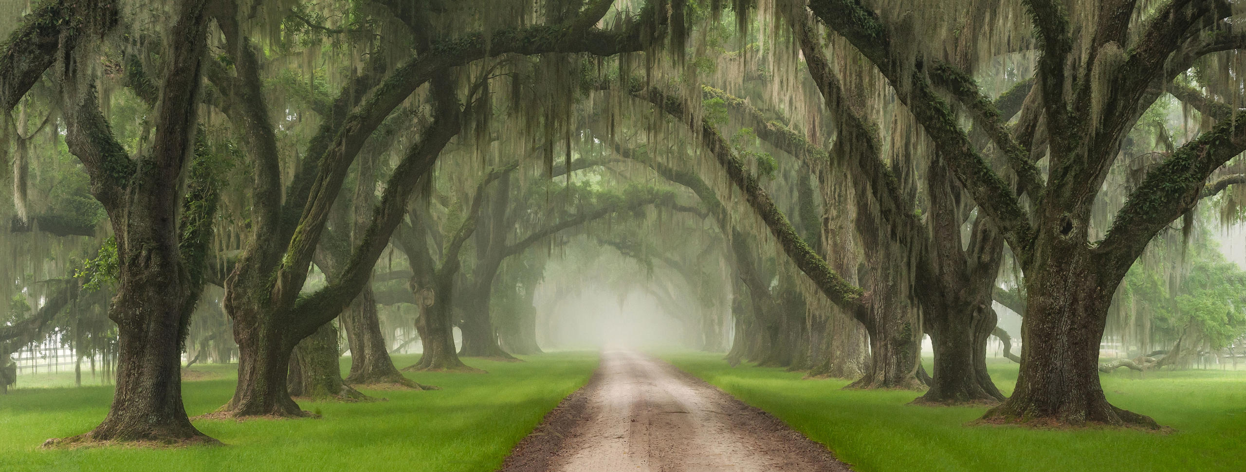 Essence Of The Lowcountry Sunrise