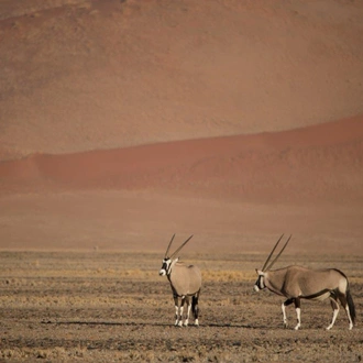 tourhub | ATC Namibia | Beautiful Contrasts of Southern Namibia, Private Tour (On Request) 