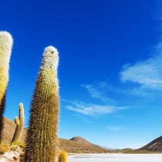 tourhub | On The Go Tours | Argentina, Atacama & Andes - 20 days 