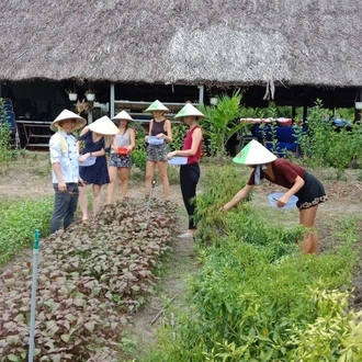 tourhub | Bonzer Tour | Vietnam Cuisine - Private Tour 12 days 