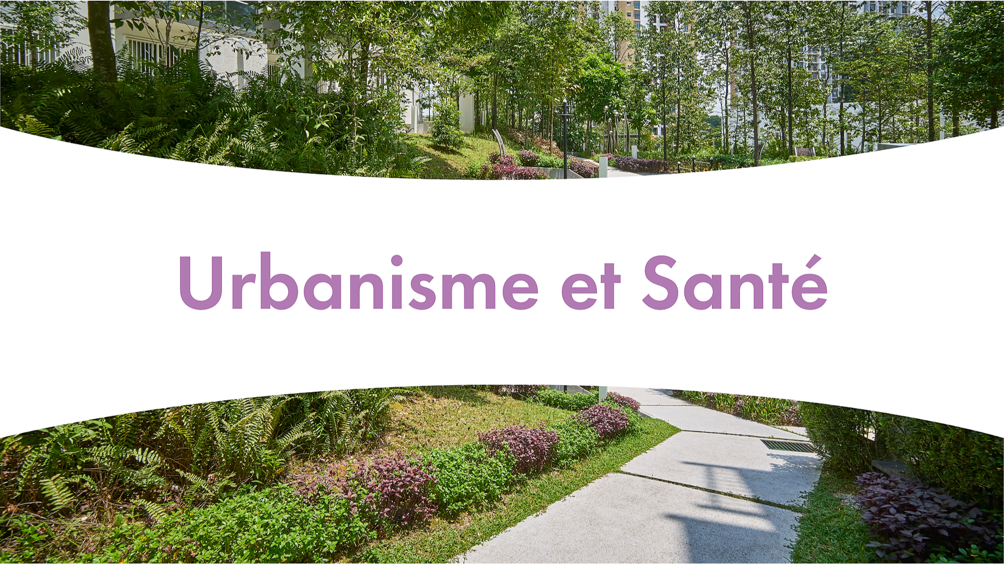 Représentation de la formation : Urbanisme et Santé