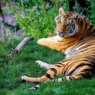 tourhub | Tweet World Travel | ROYAL JUNGLE NEPAL WILDLIFE SAFARI 