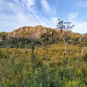 tourhub | Intrepid Travel | Hike Tasmania's Tarkine Wilderness 