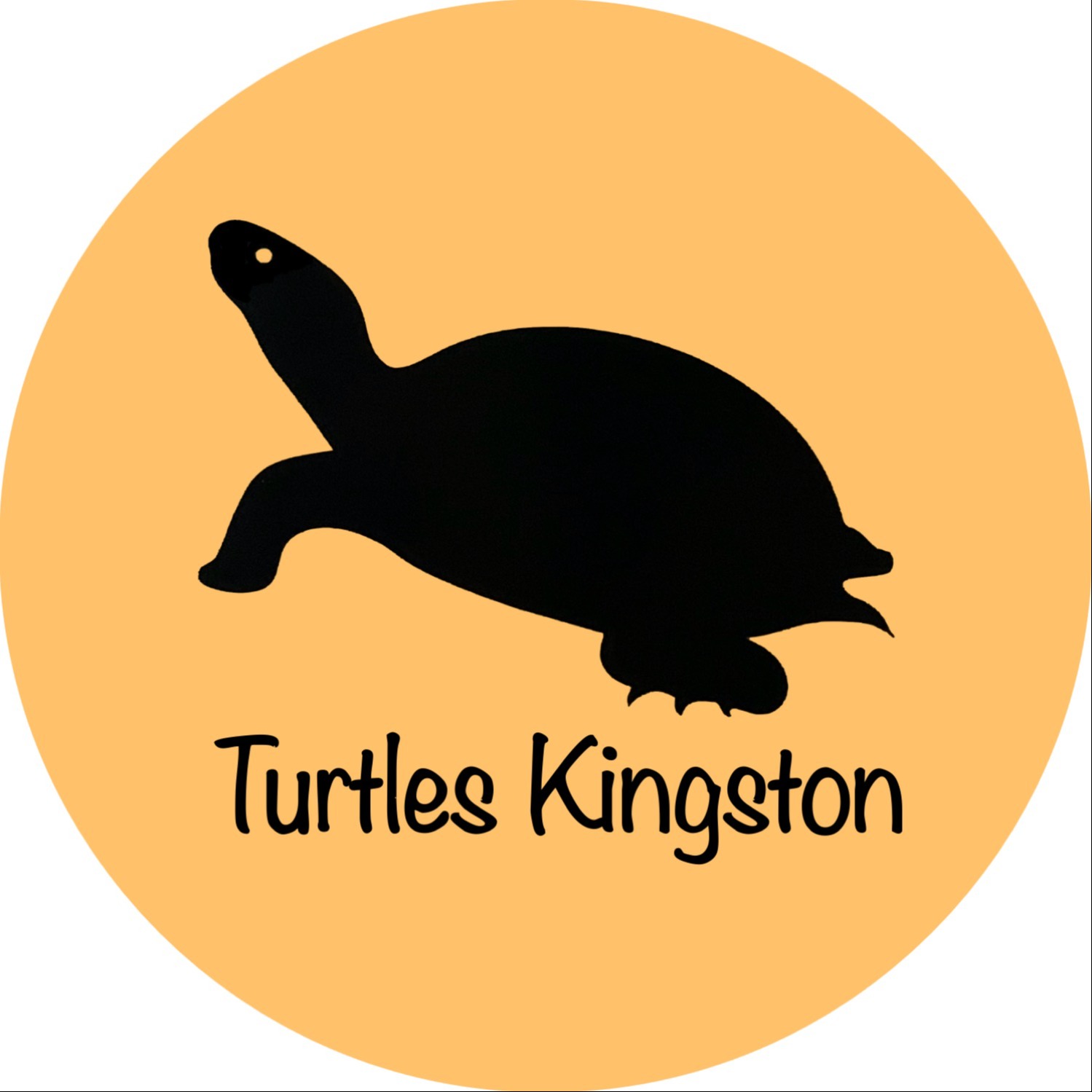 Turtles Kingston logo