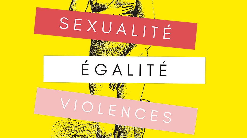 Représentation de la formation : Sexualité, Égalité, Violences
