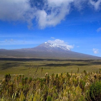 tourhub | Alaitol Safari | 9 Day Kilimanjaro Climb -Machame Route 