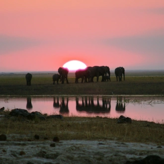 tourhub | Bundu Safaris Ltd | Safari through the Zambezi and Luangwa Valleys 