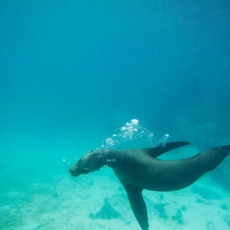 tourhub | G Adventures | Galápagos Land & Sea — Central & South Islands aboard the Yolita 