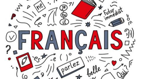 Représentation de la formation : Français (TRONC COMMUN)