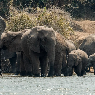 tourhub | Exodus Adventure Travels | Zambezi Canoe Safari 