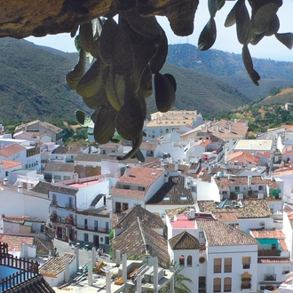 tourhub | VPT TOURS | 8 days Andalucia & Costa del Sol from Madrid (Saturdays) 