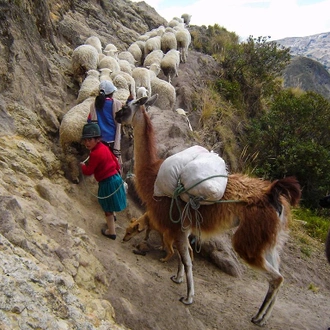 tourhub | Bamba Travel | Ecuador Volcanoes Adventure 5D/4N 