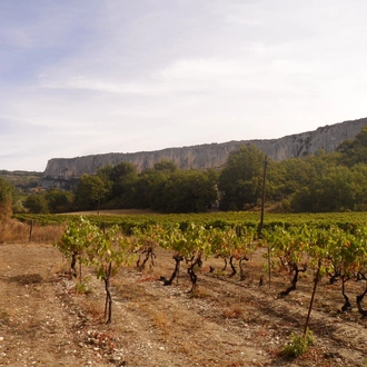 tourhub | Exodus Adventure Travels | Landscapes of the Luberon Walk 