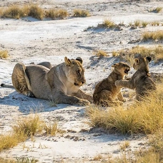 tourhub | Across Africa Tours Travel | 7 Days / 6 Nights Sossusvlei, Swakopmund and Etosha National Park ( Comfort) 