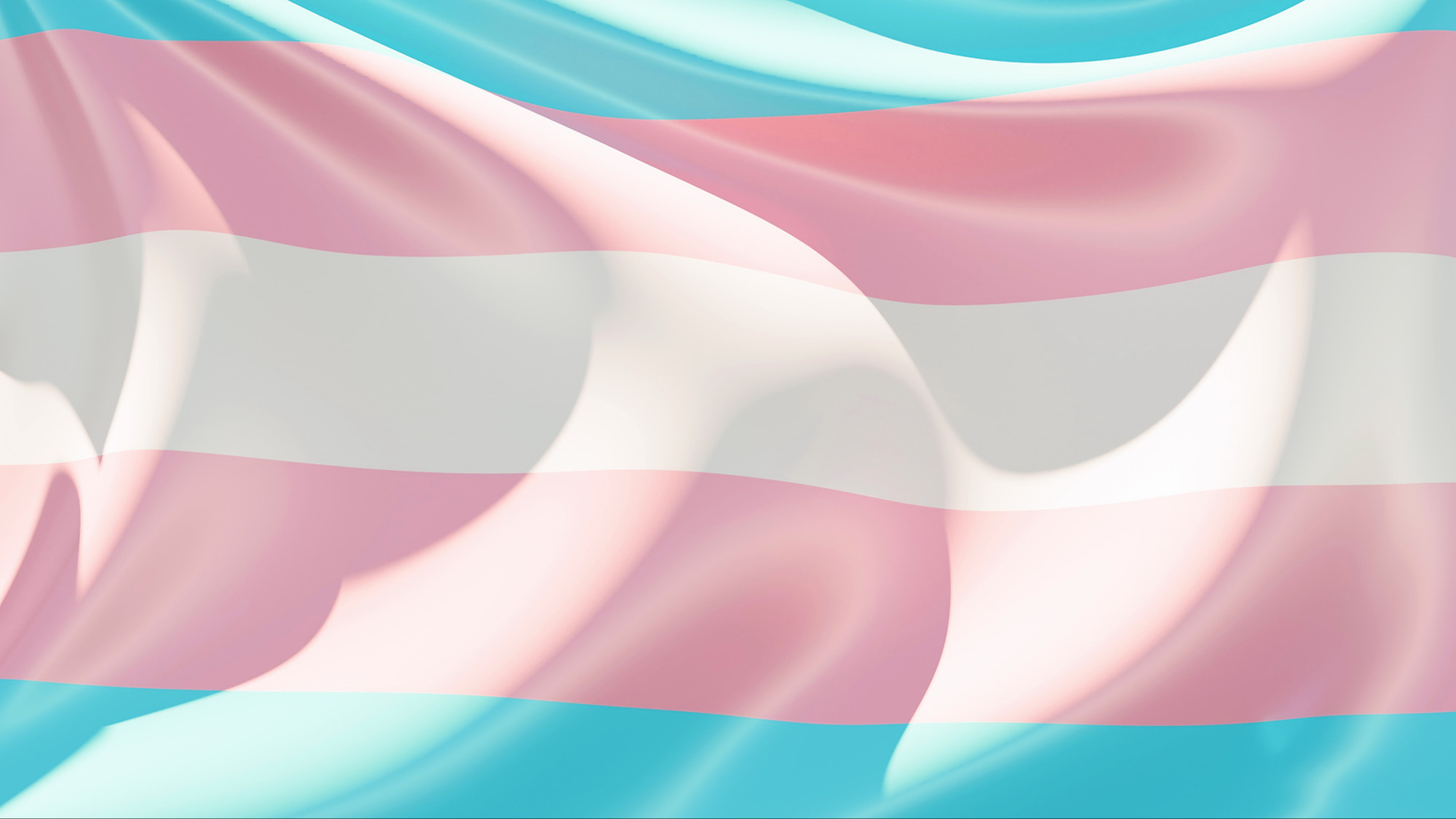 Représentation de la formation : Accompagner les personnes transgenres : pour une meilleure inclusivité
