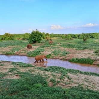 tourhub | Frenzy Adventures Limited | Big Five Safari 