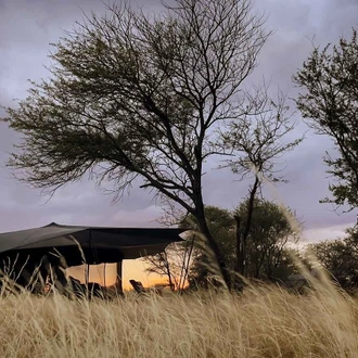 tourhub | Sana Wild Experience | PETE LUXURY SAFARI 