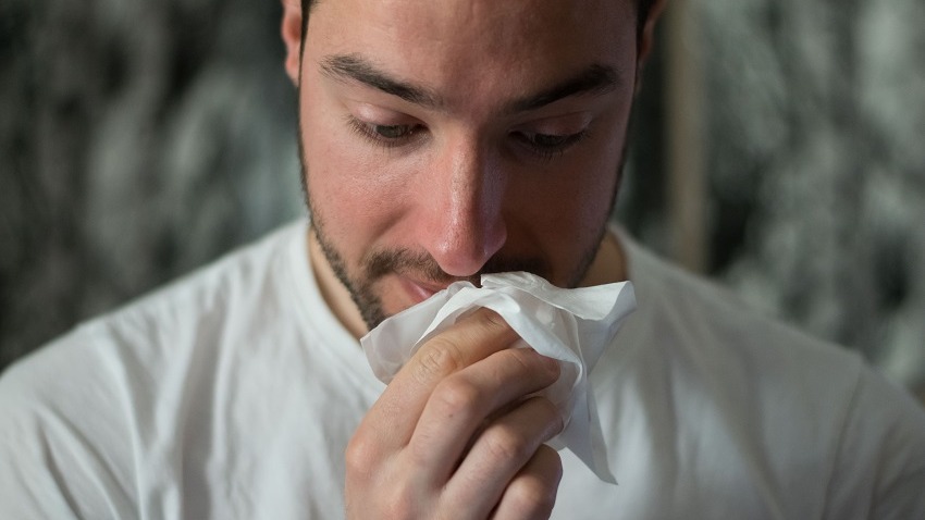 Représentation de la formation : Intolérances et allergies alimentaires