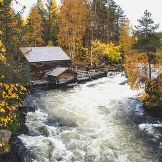 tourhub | Nordic Unique Travels | Overnight Bear Safari - Kuusamo & Oulanka rapids - Small Group Tour  