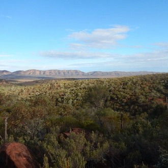 tourhub | Intrepid Travel | Walk South Australia's Flinders Ranges 