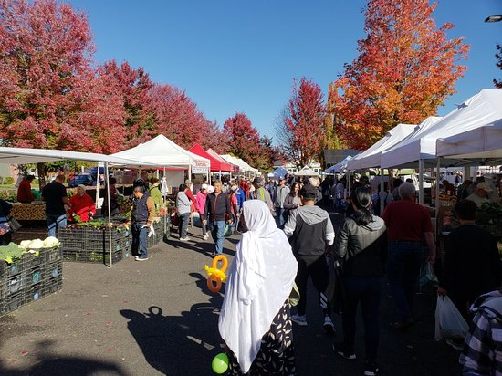 beaverton farmers market