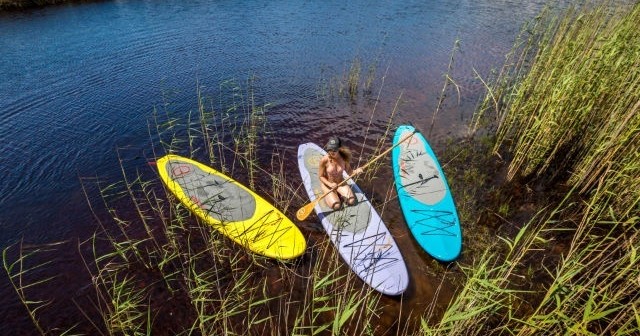 Stand-Up-Paddleboard All-Day Rental (Cypress Springs)