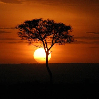 tourhub | Starluck Travel | 3 Days Masai Mara Road Package 